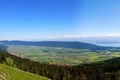 WozzAlly