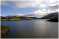 WozzAlly