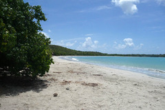 Anse Méunier, Martinique