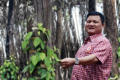 Try Pheap, National Forest Logger