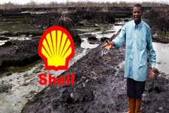 Royal Dutch Shell, Nigeria Delta