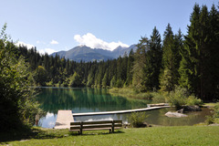Cresta See