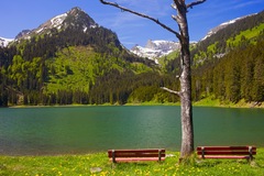 Voralpsee Wildhaus