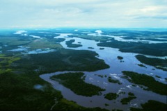 Orinoco River, Venezuela