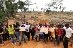Sierra Leon Biofuels Landgrabbing