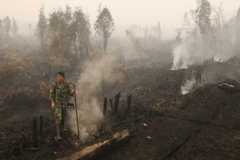 Landgrabbers fires Indonesia 2016