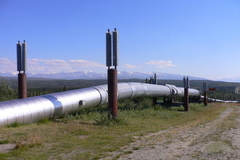 Trans Alaska Pipeline