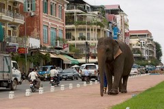 Sisowath River Front