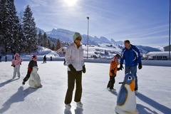 Rink Wildhaus