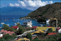 Roseau