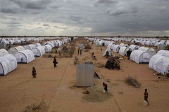 Dabaab Ifo Refugee Camp