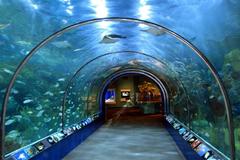 Maui Ocean Center, Wailuku