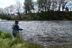 Fly Fishing, Hat Creek, California
