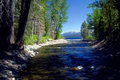 Ward Creek mouth, Lake Tahoe