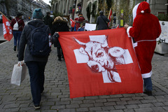 Schweizer Honrkuh Initiative