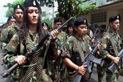 FARC, 7 February 2001 