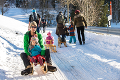 Sledging Bachtel