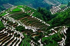 Shaoguan Danxia Mountain