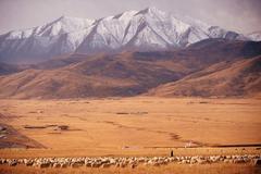 Qilian Mountains